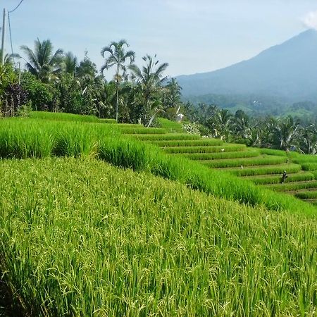 Zen Rooms Badung Nyangnyang Sari Kuta Lombok Dış mekan fotoğraf
