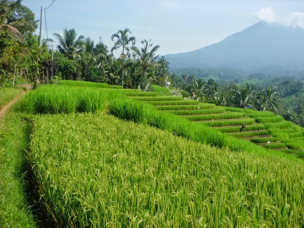 Zen Rooms Badung Nyangnyang Sari Kuta Lombok Dış mekan fotoğraf